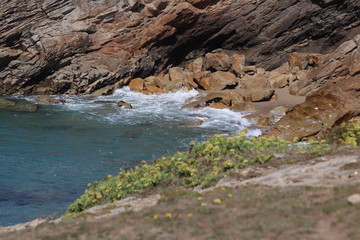 La côte sauvage - Littoral de la presqu'île de Quiberon - Département Morbihan - Bretagne - France