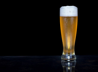 Cold Glass of Beer