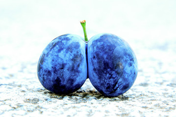 ripe blue plum image of a