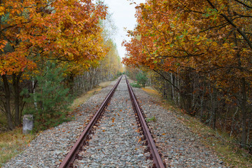 Fototapeta premium Rail track in the forest in autumn 