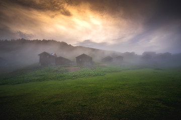 View of natural wooden highland houses in a foggy weather. Wooden houses on the highlands at an altitude of 2070 meters are surrounded by fog. (Sal Plateau, Rize / Turkey).