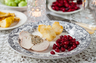 Christmas dinner with turkey and cranberry sauce