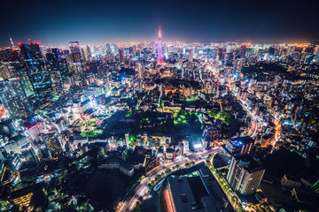 Obraz premium Tokyo Night Skyline. View from Mori Museum. Tokyo Tower. 