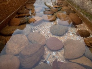 Outdoor cement trough with stone and sand decoration beside pool with palm tree reflection