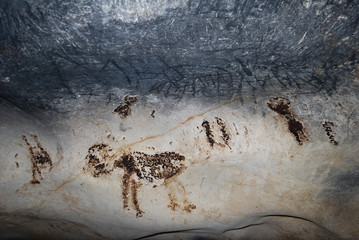 The Magura Cave - Bulgaria