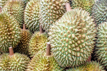 Naklejka na ściany i meble Durian piled texture. Fruit market concept.
