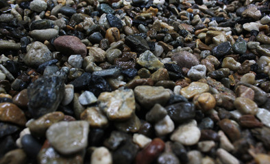closeup​ rocks, stones​ it​ wet​ from​ the​ rain.​ rock​s​ background.​ stones​ background​ 