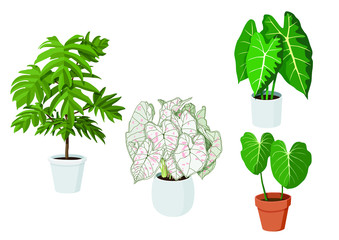 air purification green leaves trees in pots fresh on white background illustration vector