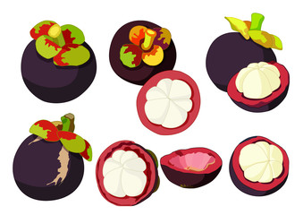 Mangosteen balls and Mangosteen half ball To eat Beautiful color on white background