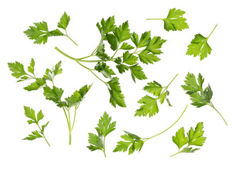Fresh green leaves of parsley isolated on white background. Herbs parsley. Top view