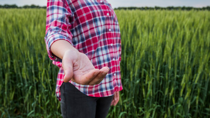 Farmer with outstretched hand stands in the background of his field, where wheat grows