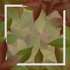 Leaves image isolated with frame on leaves background. Autumn concept.