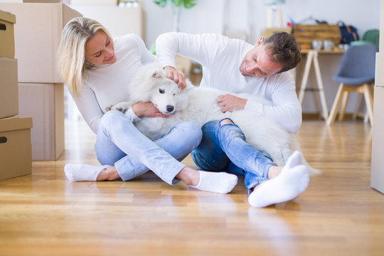 Young beautiful couple with dog sitting on the floor at new home around cardboard boxes