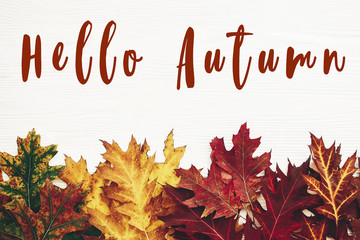 Hello Autumn text, fall greeting sign on autumn oak leaves flat lay in red, yellow, green colors on...