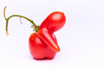 Strange shaped tomato on a white background.