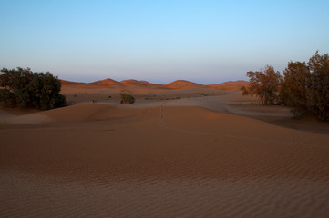 Merzouga Morocco, desert landscape with vehicle tracks over sand dunes at dusk