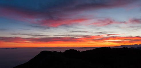 Dramatic red sky on dark woodland
