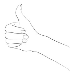 Vector illustration of hand in simple outline style. Thumbs up