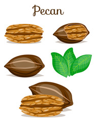 Fototapeta na wymiar Set of nuts 