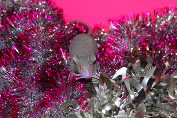 rat silver color, Mascot of The new year 2020.