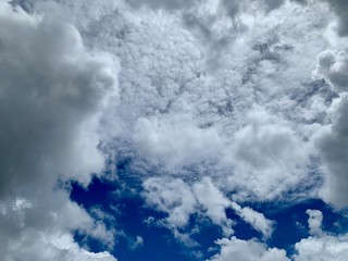 Obraz premium A white cloud on the blue sky background, cirrocumulus pattern