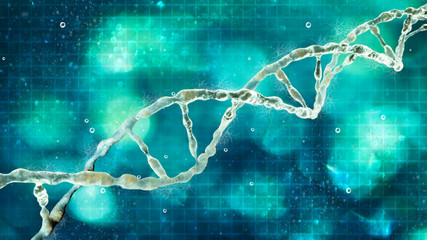DNA, Deoxyribonucleic acid is a thread-like chain of nucleotides carrying the genetic instructions used in the growth, development, functioning and reproduction of all living organisms. DNA helix