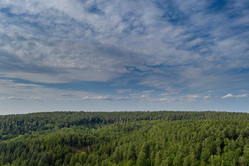 Fototapeta na wymiar Wolken über sommerlichem Wald - Luftbild