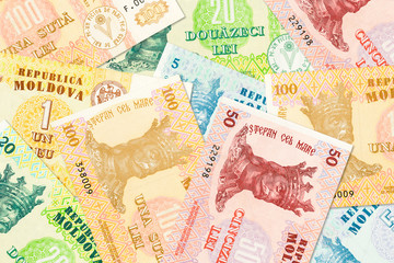 some moldovan leu banknotes mixed indicating growing economics