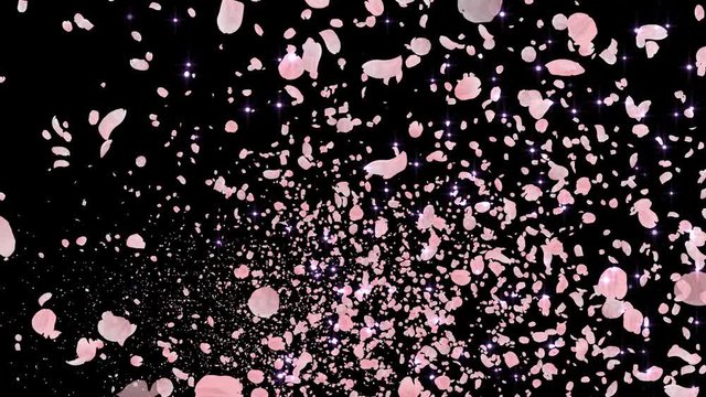 Cherry Blossom Sakura Petals and Lens Flares Particles background