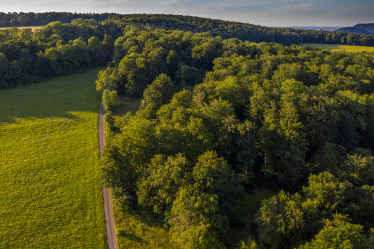 Waldrand von Oben - Luftbild