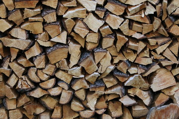 Firewood for the Winter, Italy