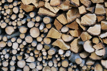 Firewood for the Winter, Italy