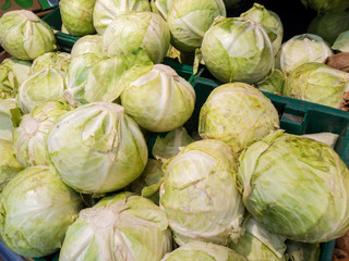 Fototapeta na wymiar delicious fresh raw cabbage on the supermarket counter