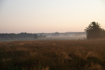 Fototapeta na wymiar morning on meadow. sunrise landscape photo with vintage effect