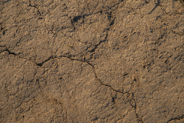 cracked earth background or texture
