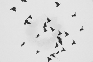 Silhouette sketch of doves flying in the sky. Save the Earth Concept Illustration
