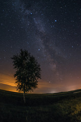 Naklejka na ściany i meble A tree against the background of the starry sky, the Milky Way, space. Night
