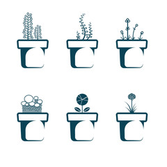 Vector drawn flower potted. Isolated on white background.