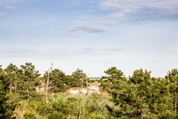Obraz premium Delaware east coast marsh land landscape