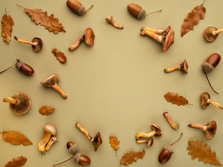 Round frame with autumn stuff.