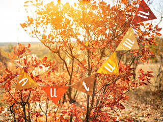Autumn decoration garland.