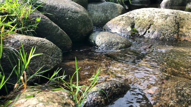 The calm murmur of the water of a clean mountain stream with large stones on a sunny day.
