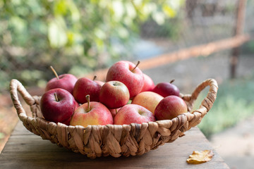 basket of ripe tasty apples on a garden background