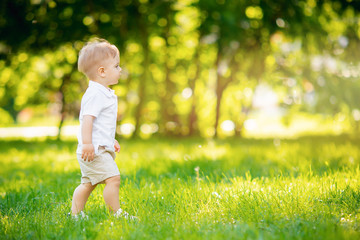 Child boy goes in white shirt, shorts on green grass in park, summer sun day