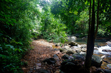 Fototapeta premium Natural waterfall, shoulder river, through the top of the mountain
