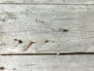 texture of old shabby rustic wooden fence made of planks, with rusty nails, grunge background