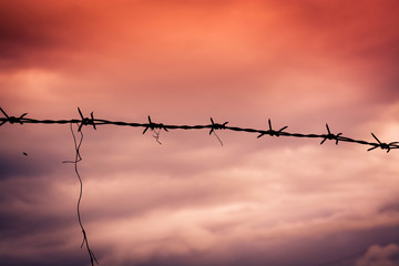 barbed wire on background of blue sky