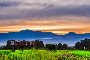 landscape with green field and blue sky