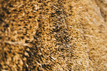 straw from thatched roof