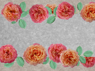 Beautiful rose flower designed for card.